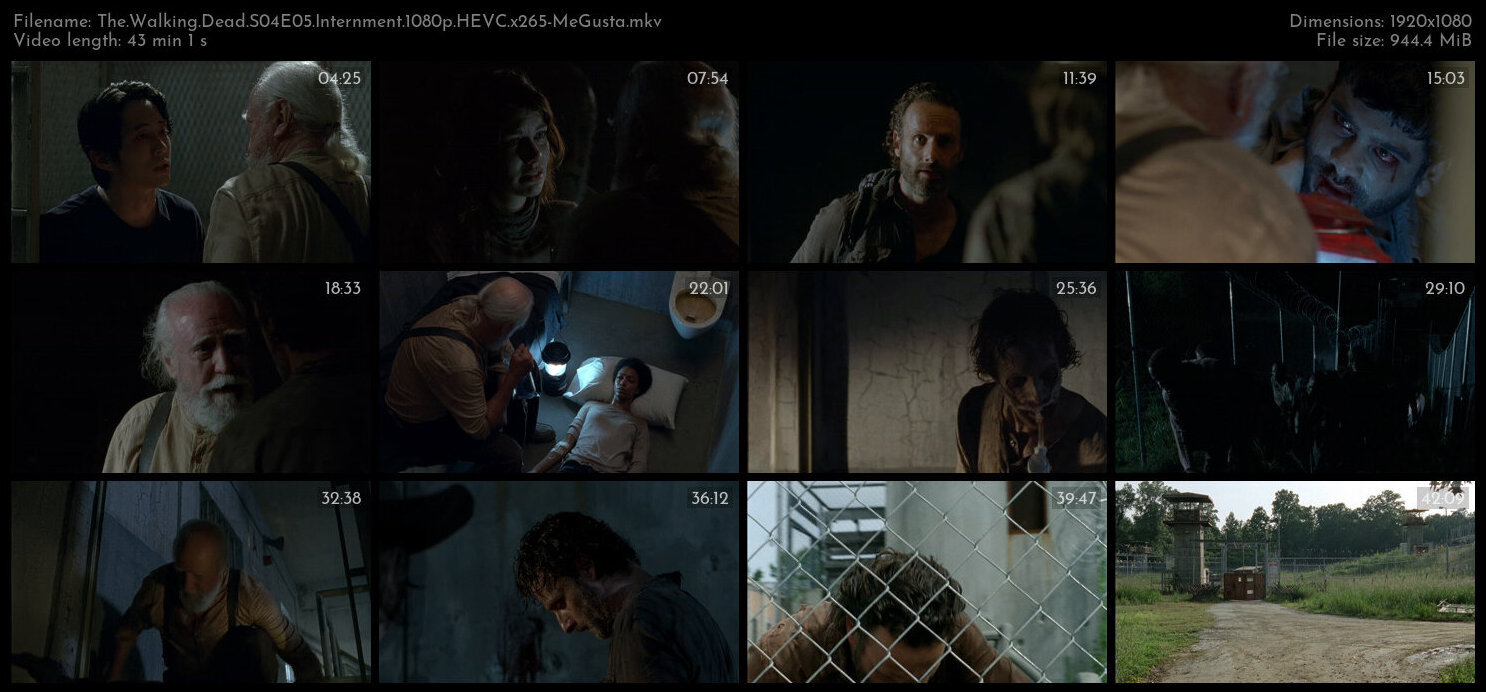 The Walking Dead S04E05 Internment 1080p HEVC x265 MeGusta TGx