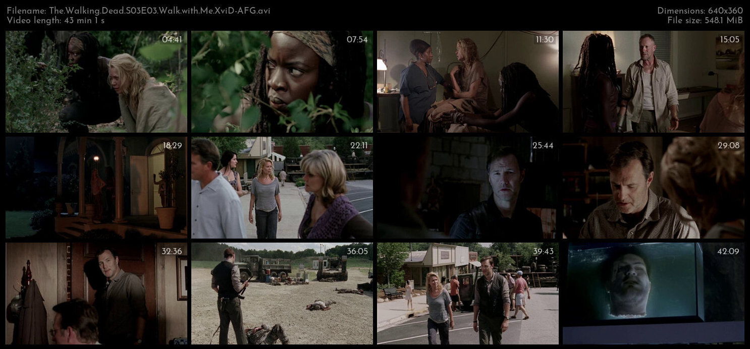 The Walking Dead S03E03 Walk with Me XviD AFG TGx