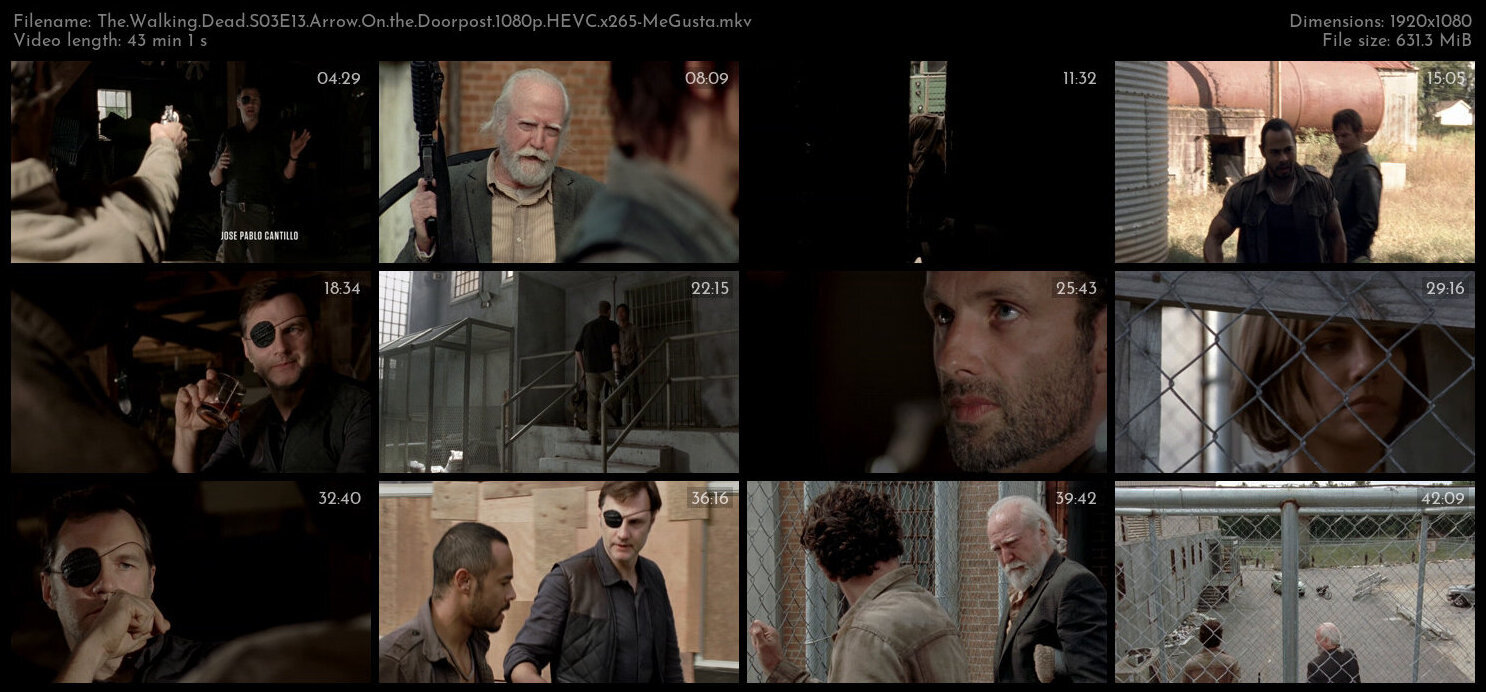 The Walking Dead S03E13 Arrow On the Doorpost 1080p HEVC x265 MeGusta TGx