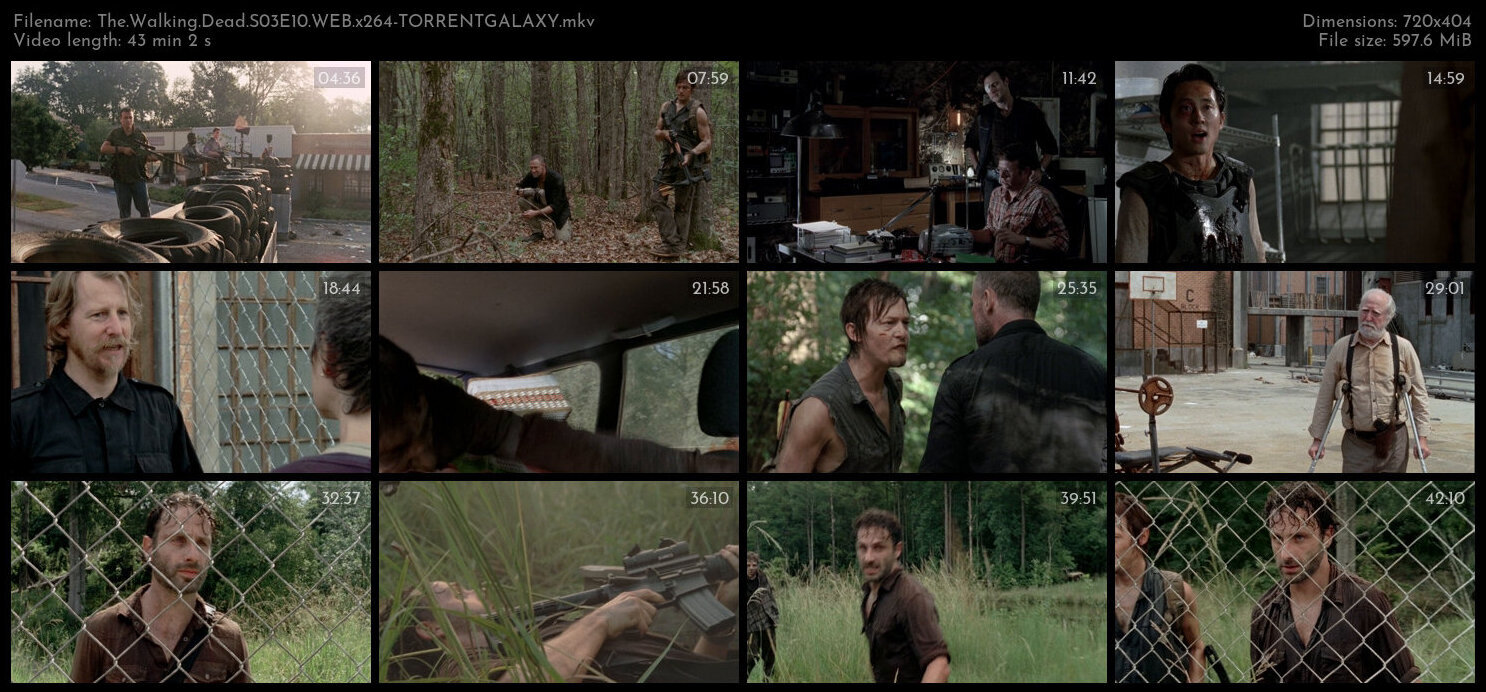 The Walking Dead S03E10 WEB x264 TORRENTGALAXY