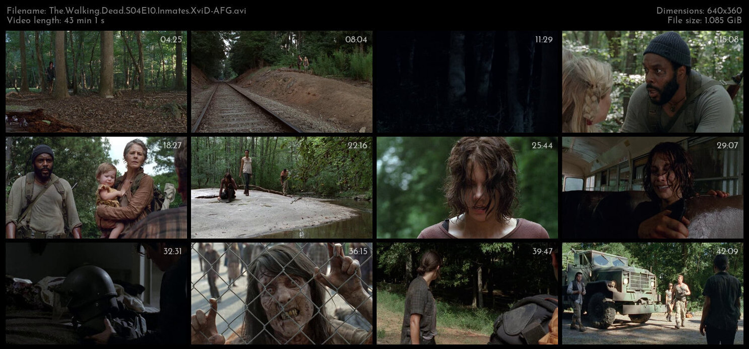 The Walking Dead S04E10 Inmates XviD AFG TGx