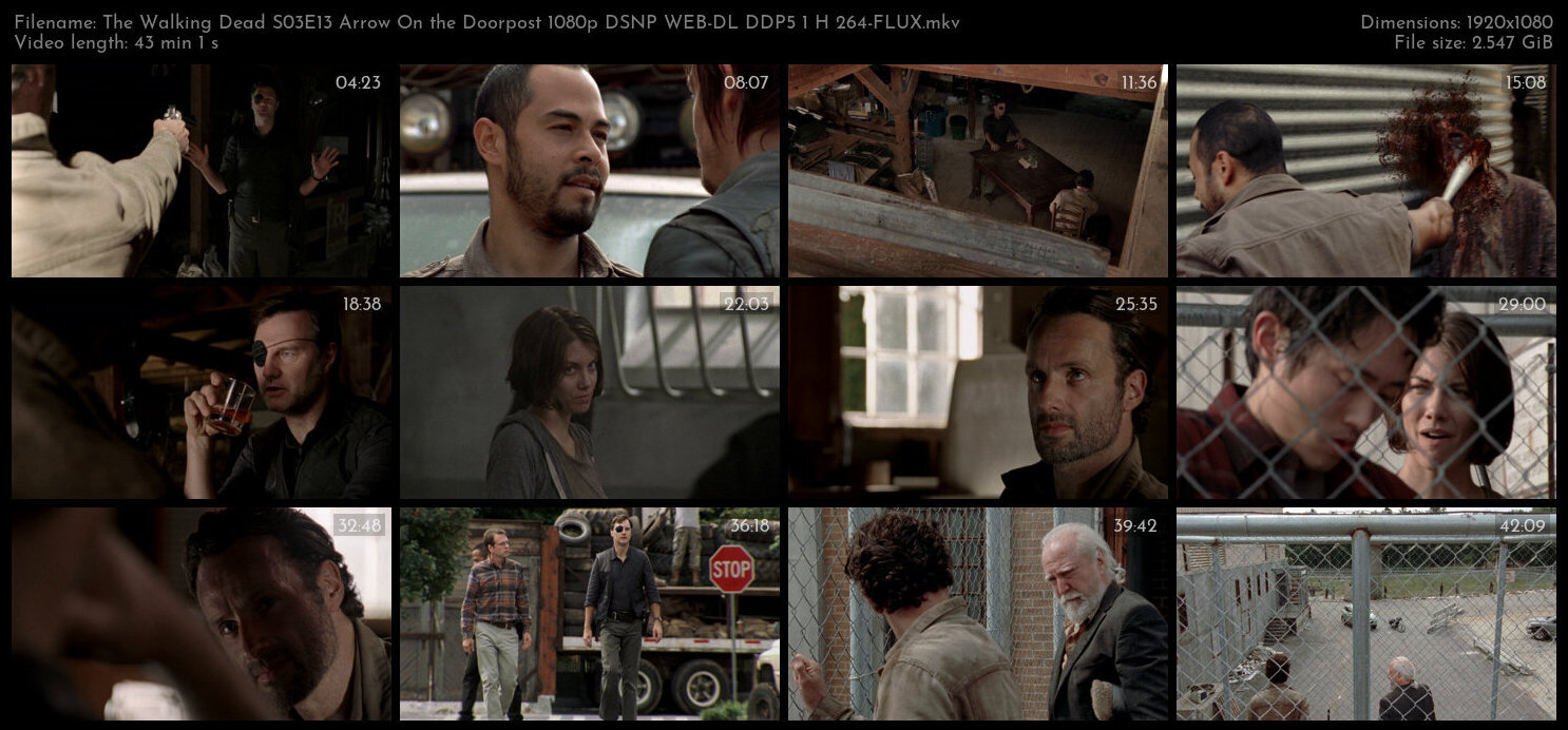 The Walking Dead S03E13 Arrow On the Doorpost 1080p DSNP WEB DL DDP5 1 H 264 FLUX TGx