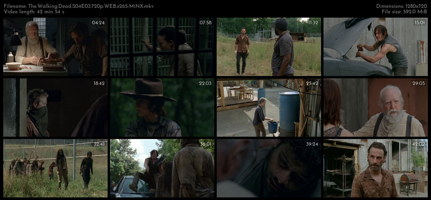 The Walking Dead S04E03 720p WEB x265 MiNX TGx