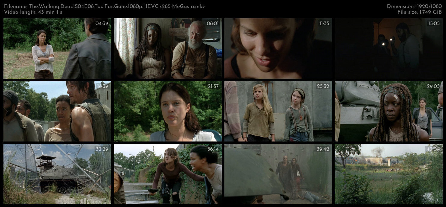 The Walking Dead S04E08 Too Far Gone 1080p HEVC x265 MeGusta TGx