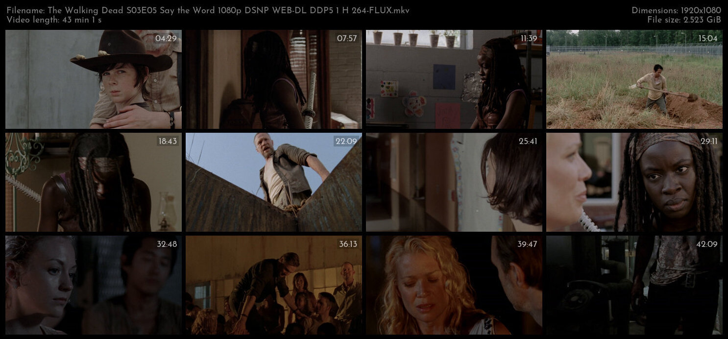 The Walking Dead S03E05 Say the Word 1080p DSNP WEB DL DDP5 1 H 264 FLUX TGx