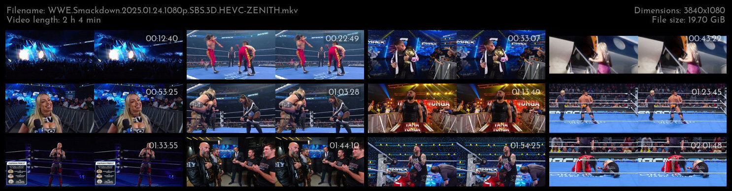 WWE Smackdown 2025 01 24 1080p SBS 3D HEVC ZENITH TGx