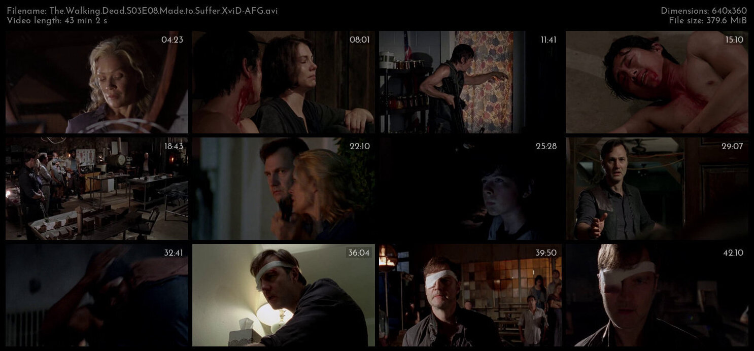 The Walking Dead S03E08 Made to Suffer XviD AFG TGx