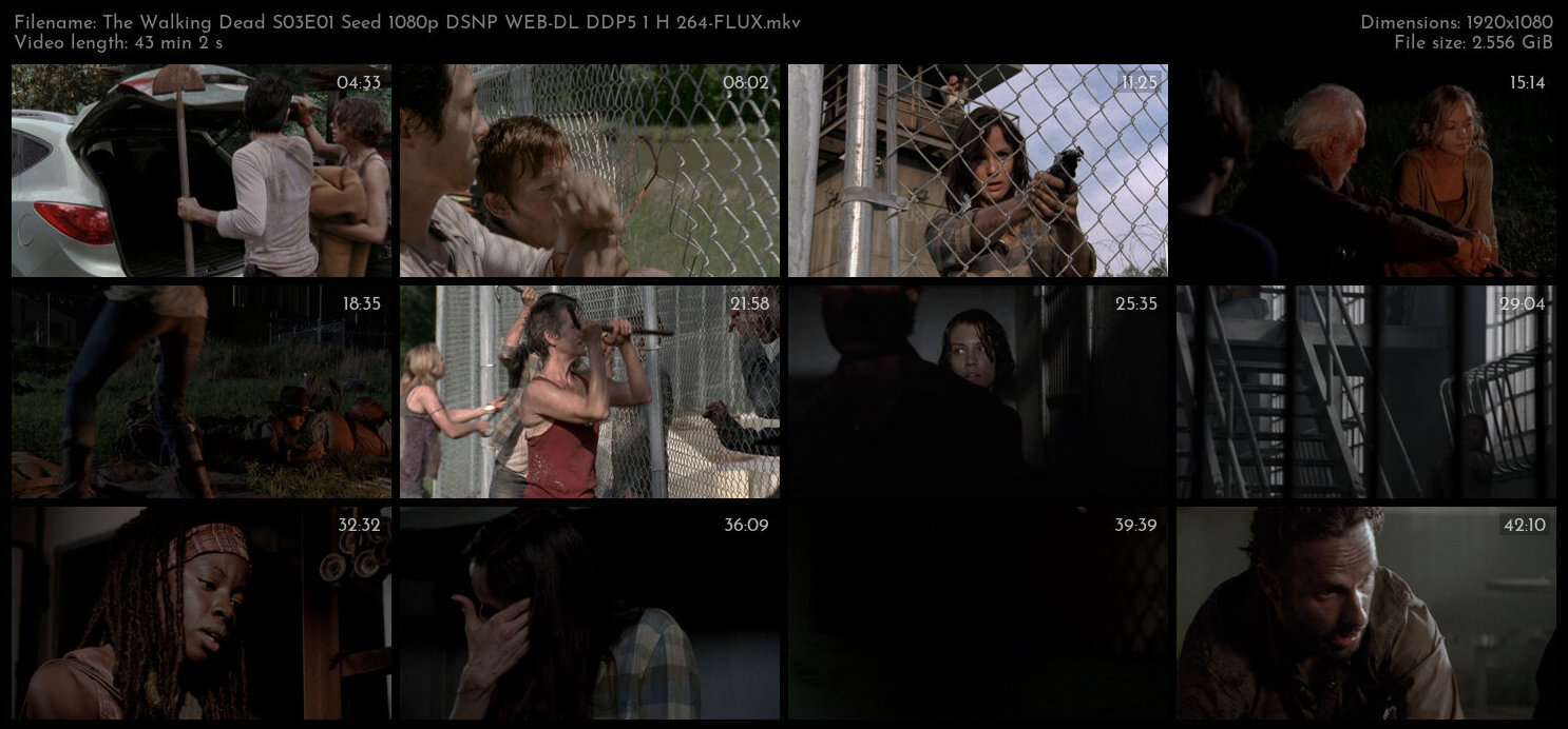 The Walking Dead S03E01 Seed 1080p DSNP WEB DL DDP5 1 H 264 FLUX TGx