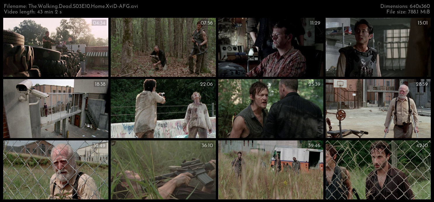 The Walking Dead S03E10 Home XviD AFG TGx