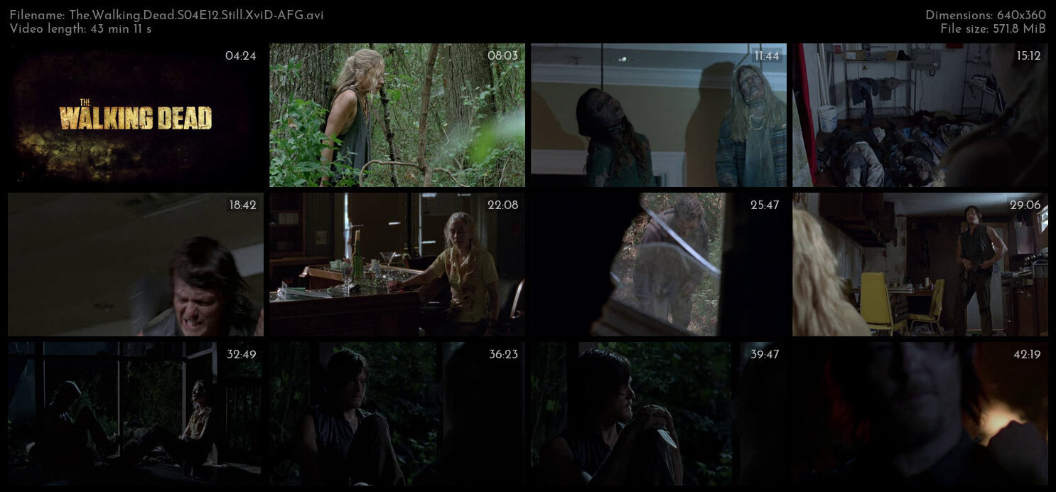 The Walking Dead S04E12 Still XviD AFG TGx