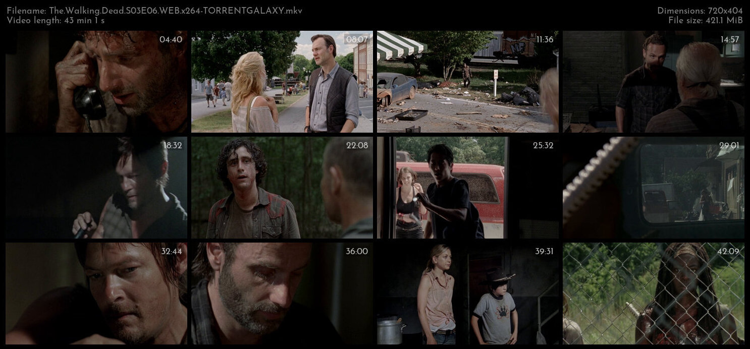 The Walking Dead S03E06 WEB x264 TORRENTGALAXY