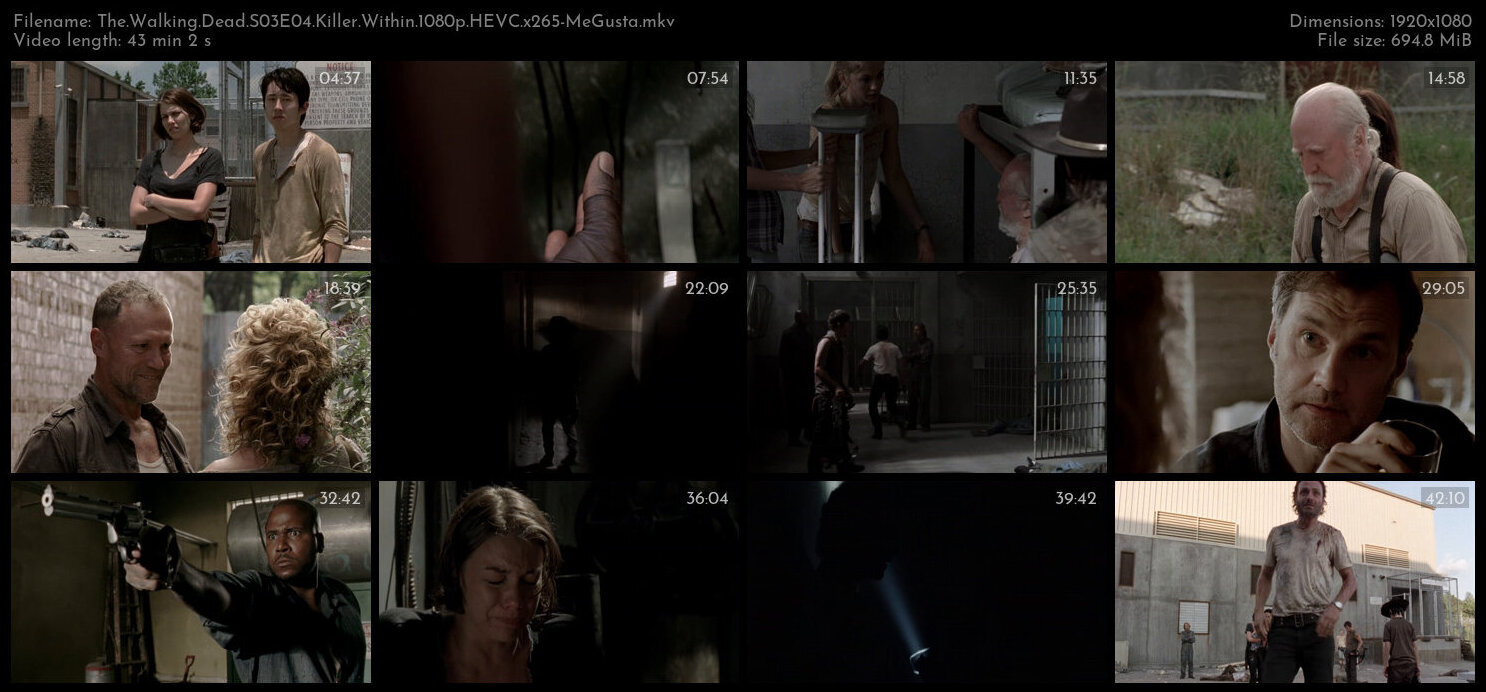 The Walking Dead S03E04 Killer Within 1080p HEVC x265 MeGusta TGx