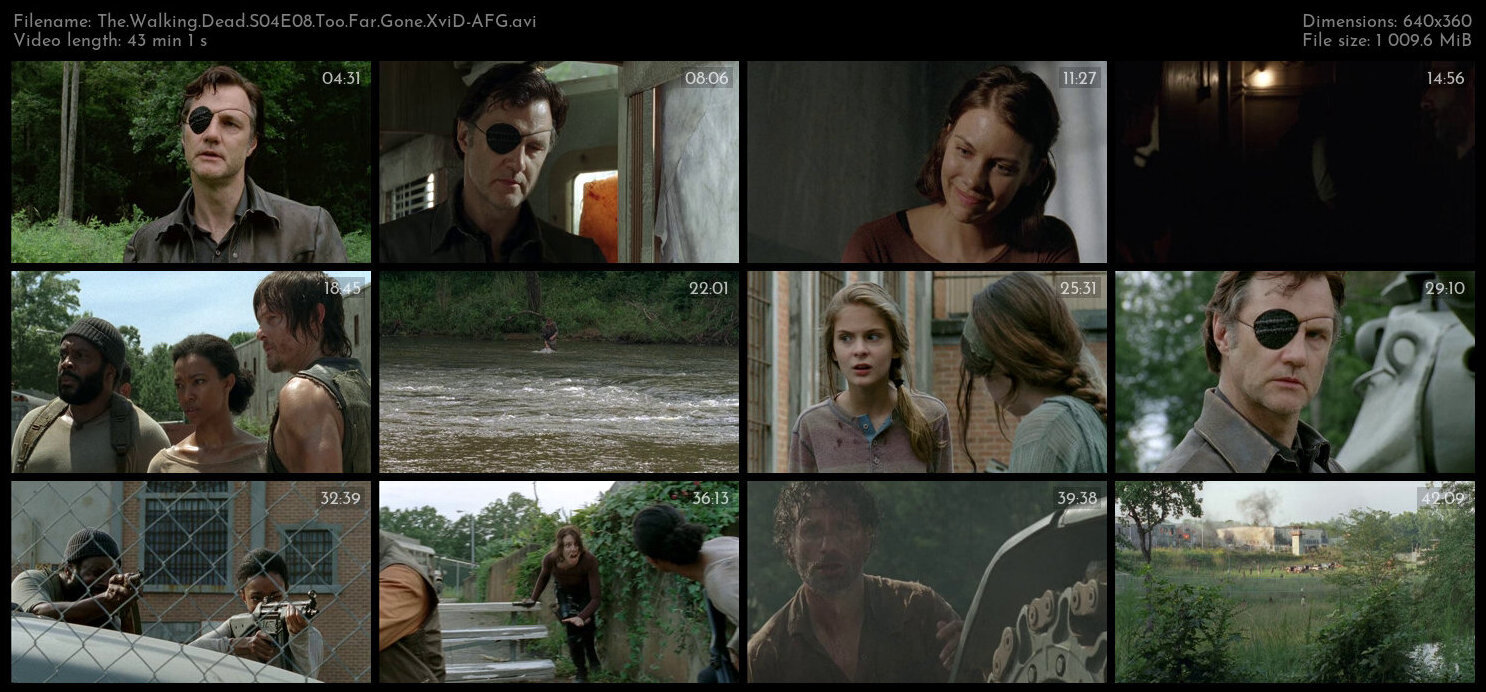 The Walking Dead S04E08 Too Far Gone XviD AFG TGx