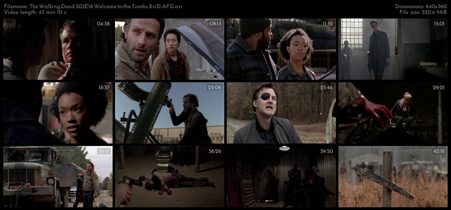 The Walking Dead S03E16 Welcome to the Tombs XviD AFG TGx