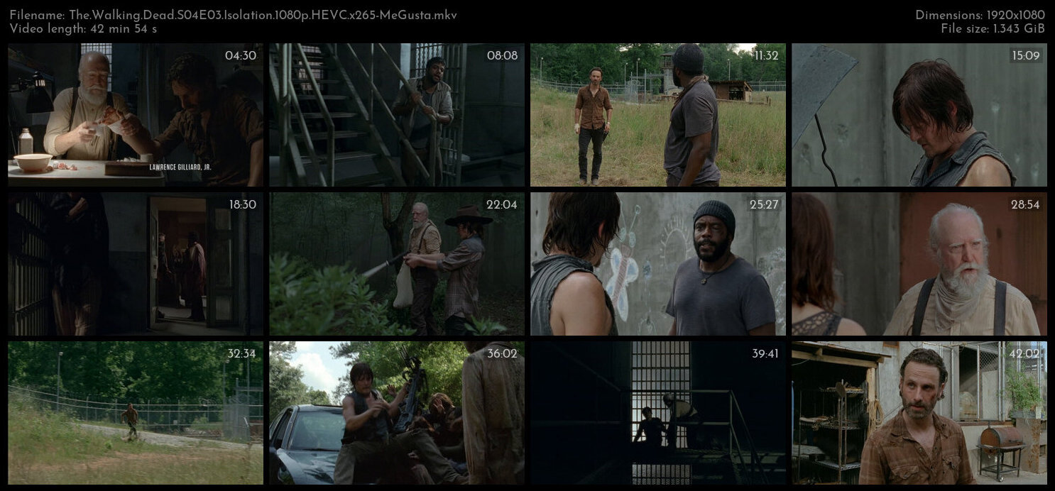 The Walking Dead S04E03 Isolation 1080p HEVC x265 MeGusta TGx