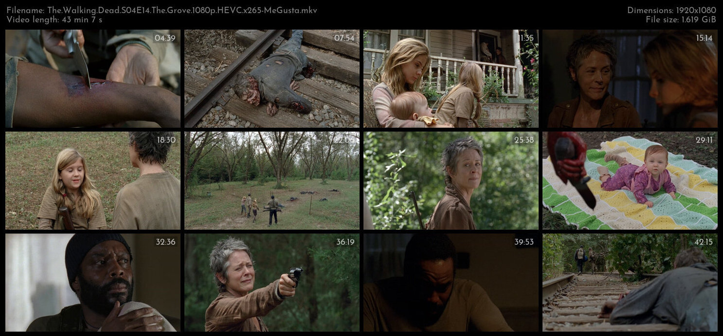 The Walking Dead S04E14 The Grove 1080p HEVC x265 MeGusta TGx