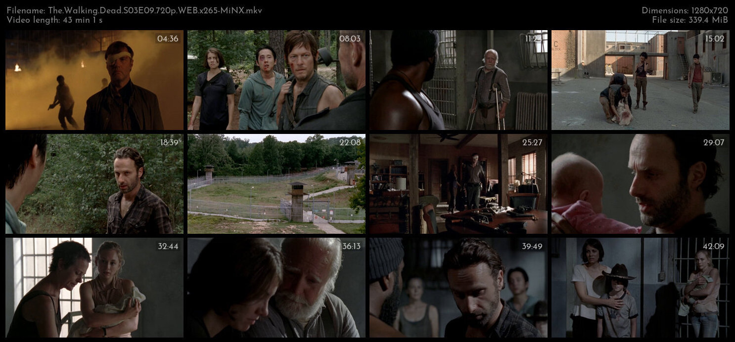 The Walking Dead S03E09 720p WEB x265 MiNX TGx