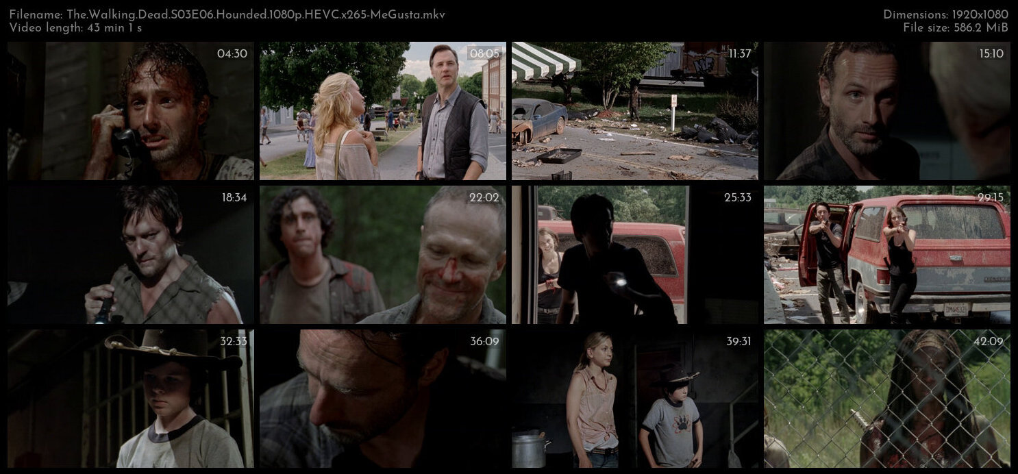 The Walking Dead S03E06 Hounded 1080p HEVC x265 MeGusta TGx