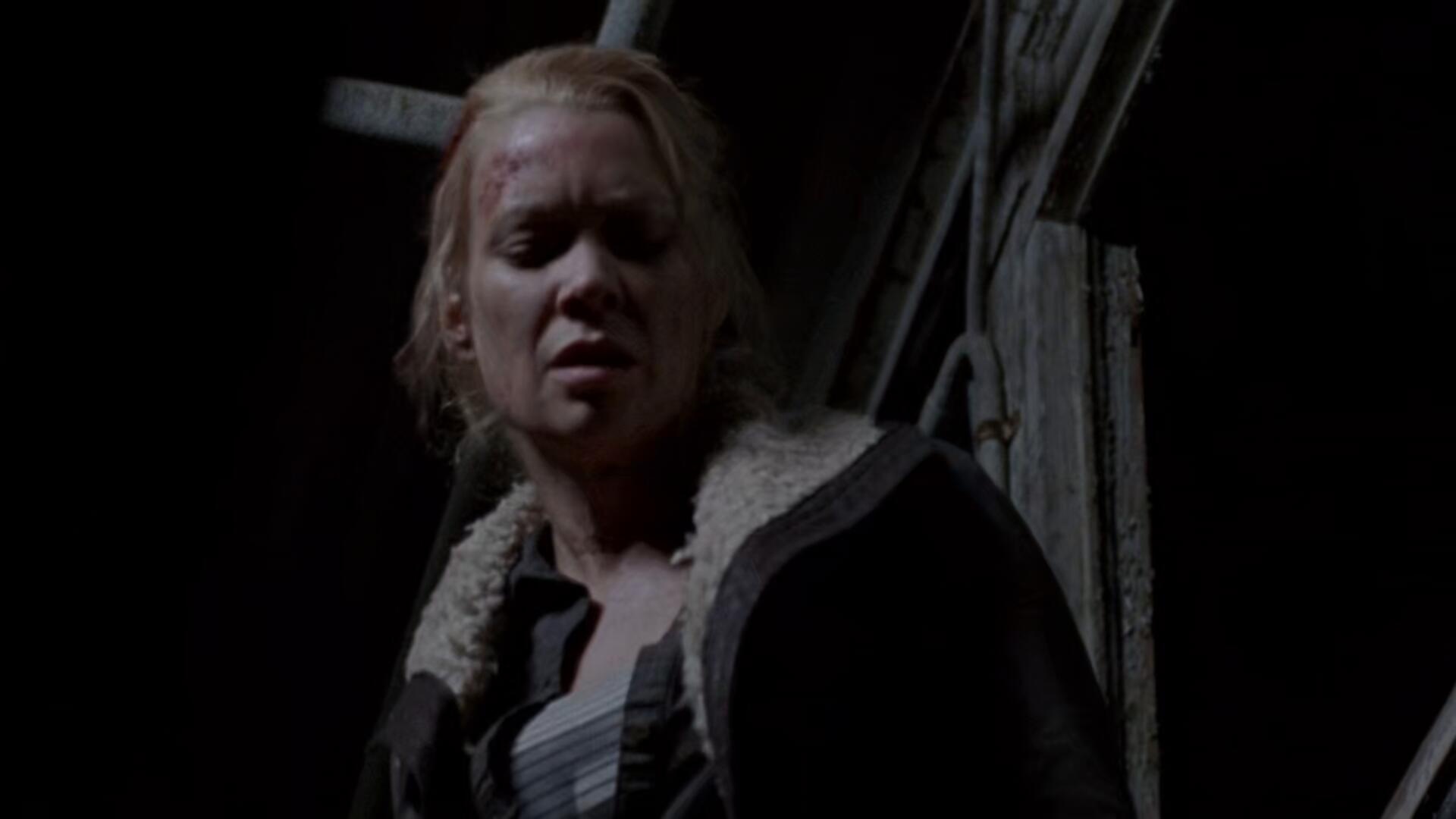 The Walking Dead S03E14 Prey 1080p HEVC x265 MeGusta TGx