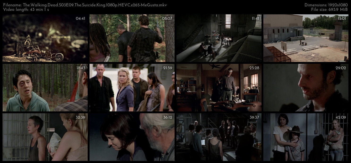 The Walking Dead S03E09 The Suicide King 1080p HEVC x265 MeGusta TGx