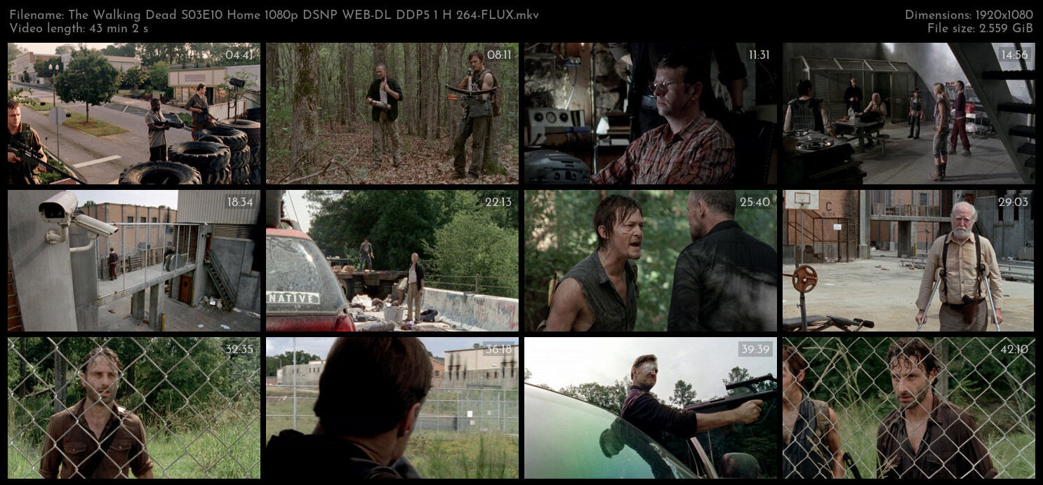 The Walking Dead S03E10 Home 1080p DSNP WEB DL DDP5 1 H 264 FLUX TGx