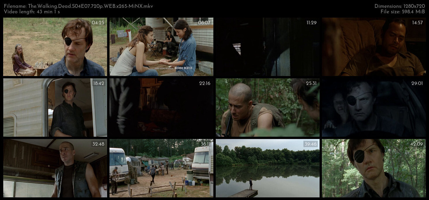 The Walking Dead S04E07 720p WEB x265 MiNX TGx