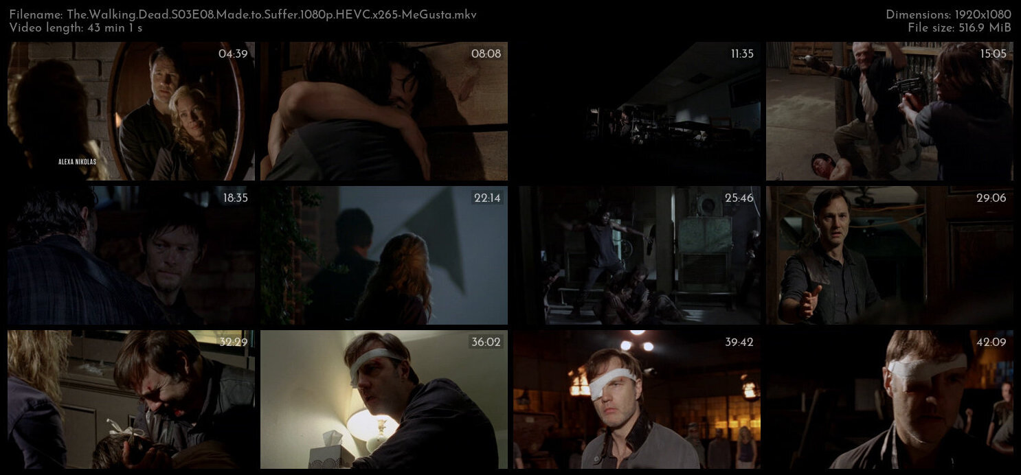 The Walking Dead S03E08 Made to Suffer 1080p HEVC x265 MeGusta TGx