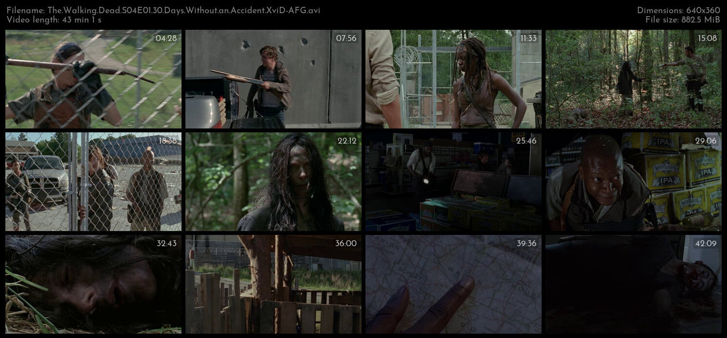 The Walking Dead S04E01 30 Days Without an Accident XviD AFG TGx