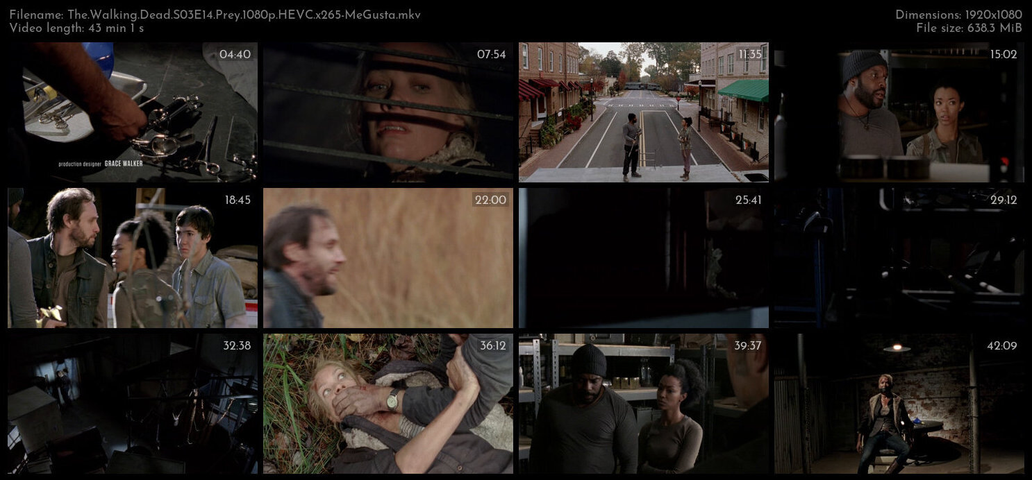 The Walking Dead S03E14 Prey 1080p HEVC x265 MeGusta TGx