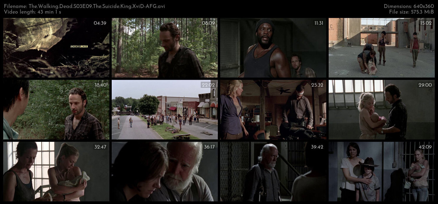 The Walking Dead S03E09 The Suicide King XviD AFG TGx