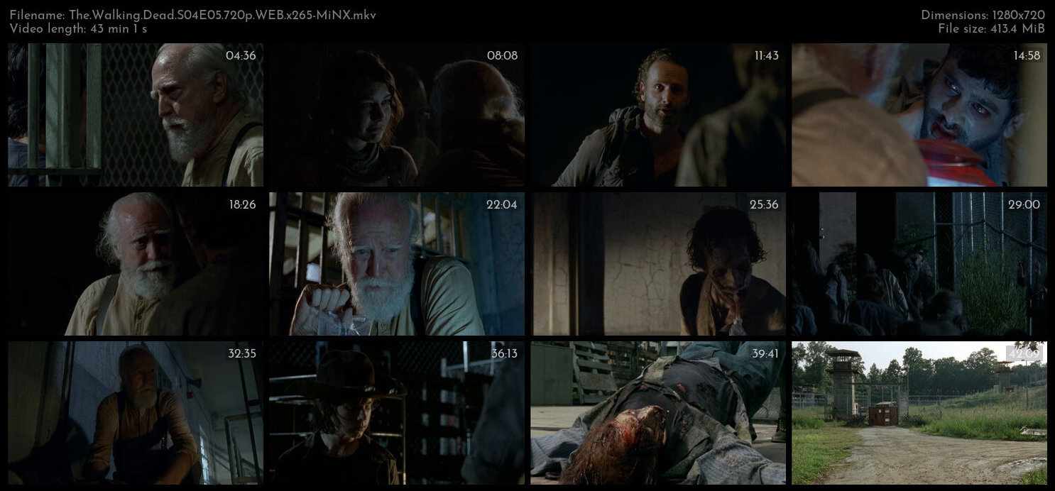 The Walking Dead S04E05 720p WEB x265 MiNX TGx