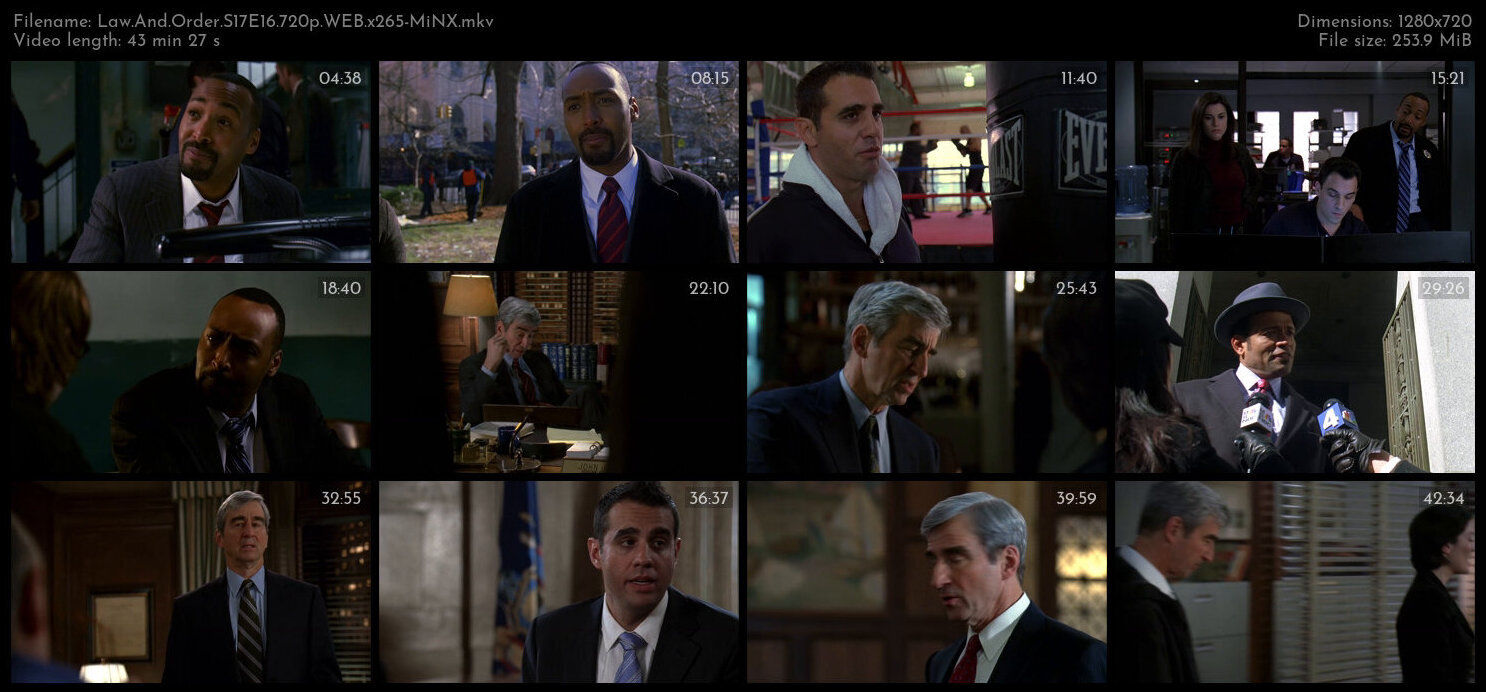 Law And Order S17E16 720p WEB x265 MiNX TGx