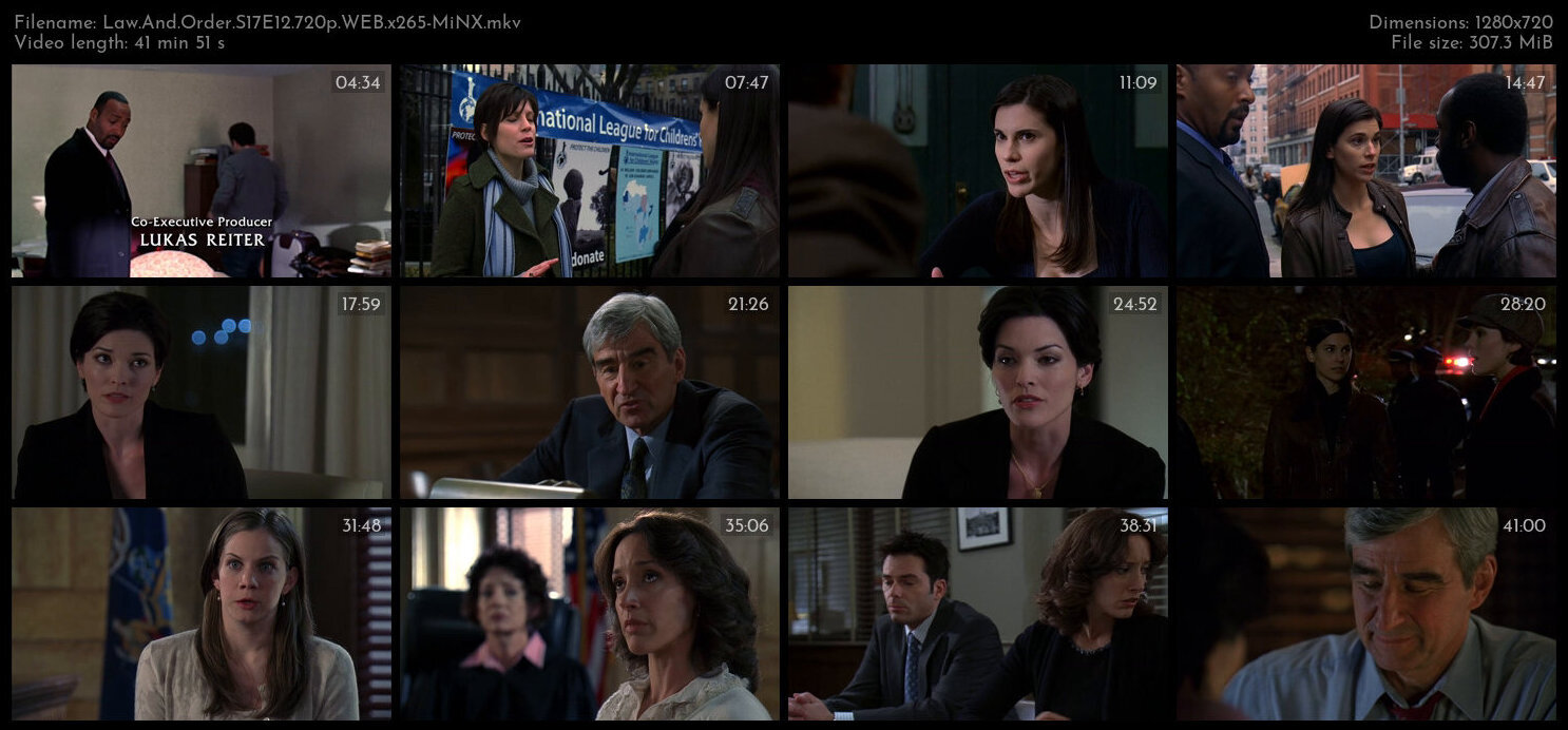 Law And Order S17E12 720p WEB x265 MiNX TGx