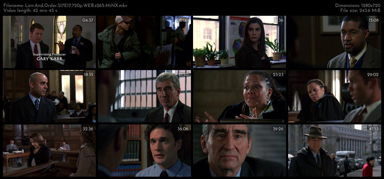 Law And Order S17E17 720p WEB x265 MiNX TGx