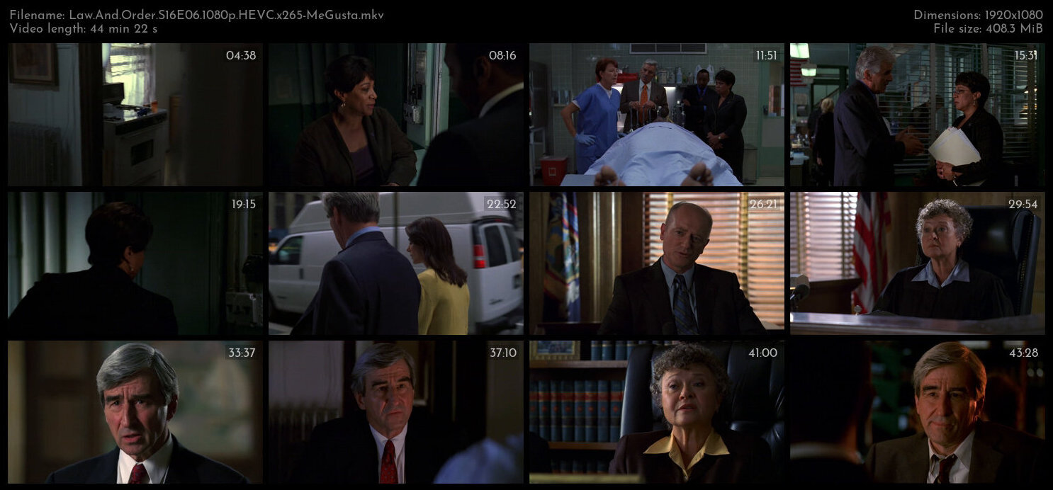 Law And Order S16E06 1080p HEVC x265 MeGusta TGx