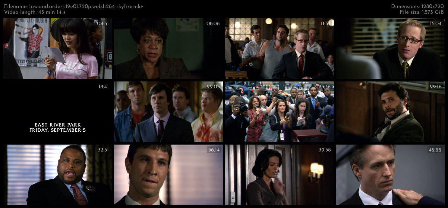 Law And Order S19E01 720p WEB H264 SKYFiRE TGx