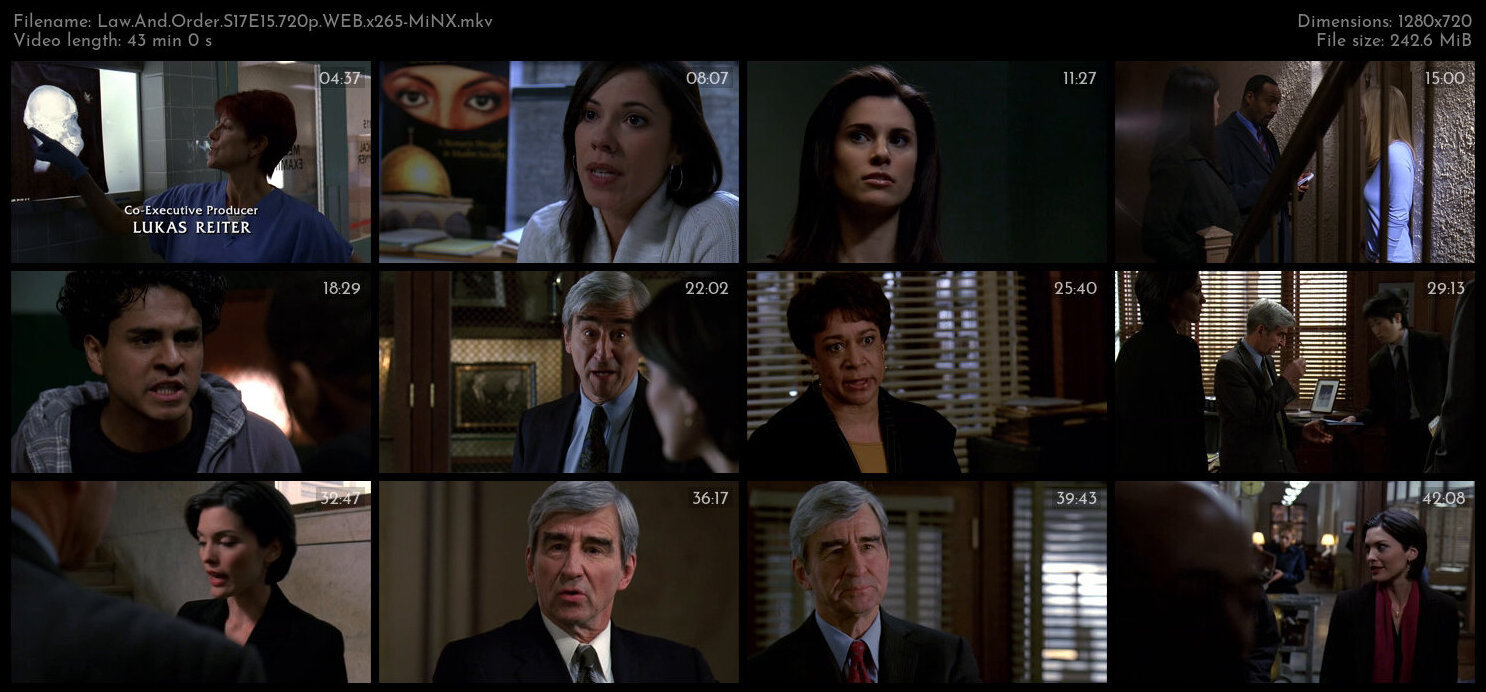 Law And Order S17E15 720p WEB x265 MiNX TGx