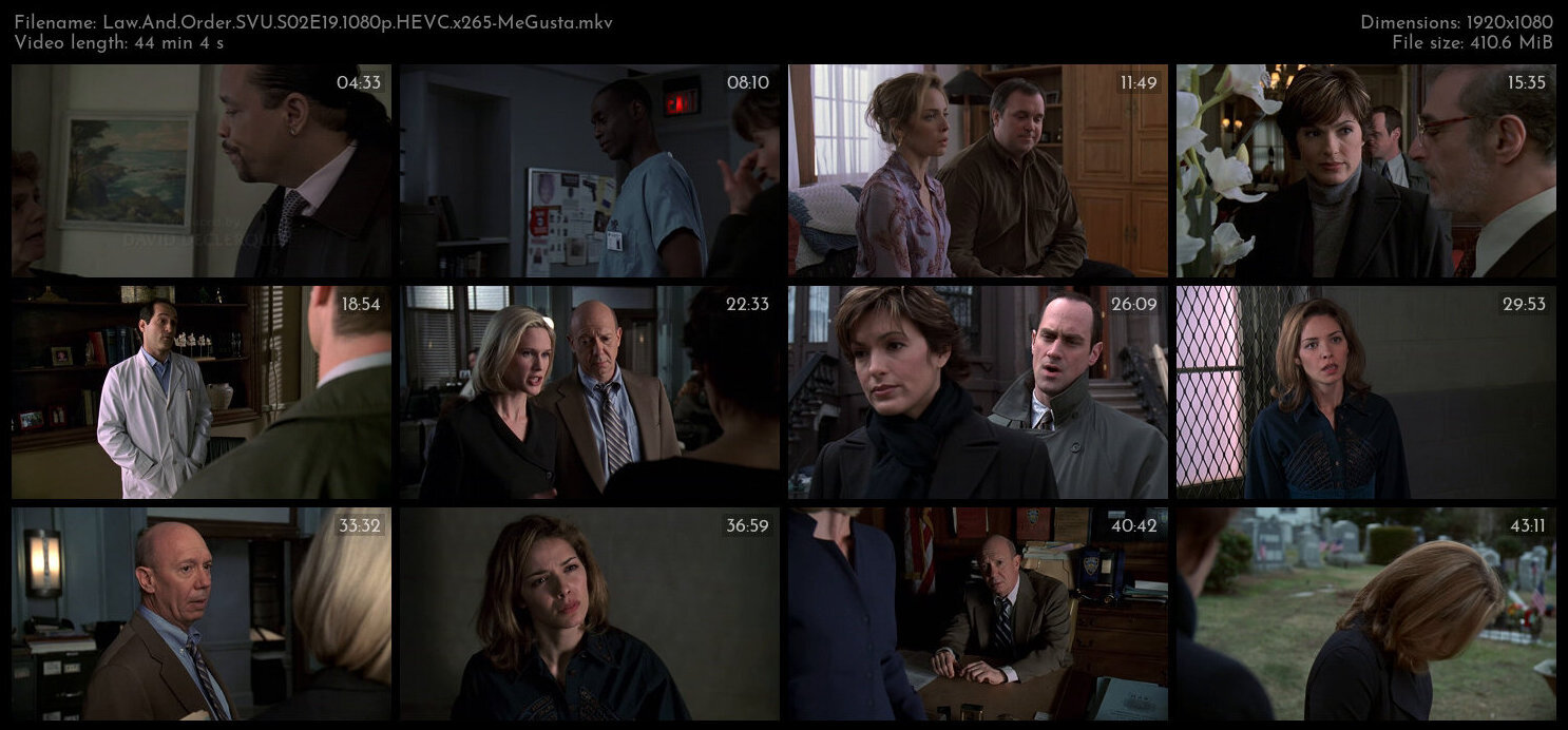 Law And Order SVU S02E19 1080p HEVC x265 MeGusta TGx