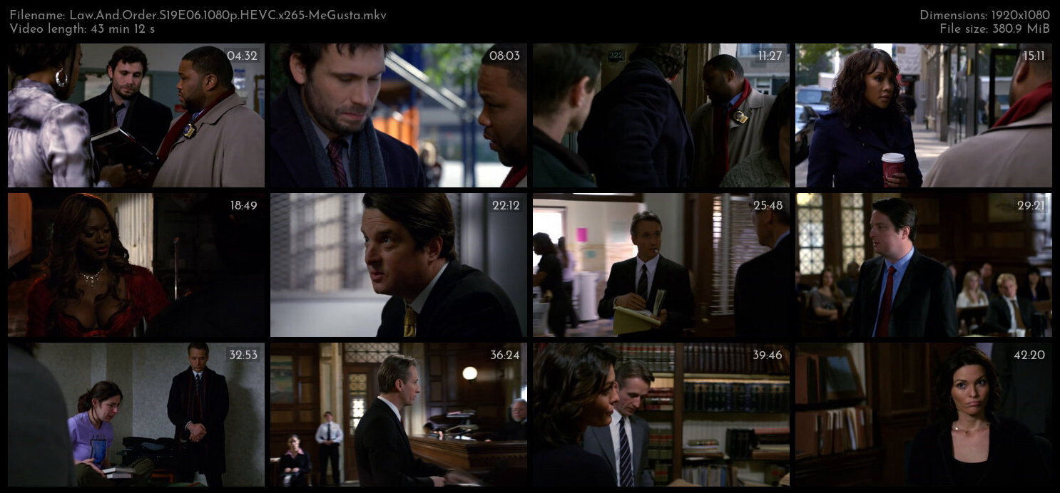 Law And Order S19E06 1080p HEVC x265 MeGusta TGx