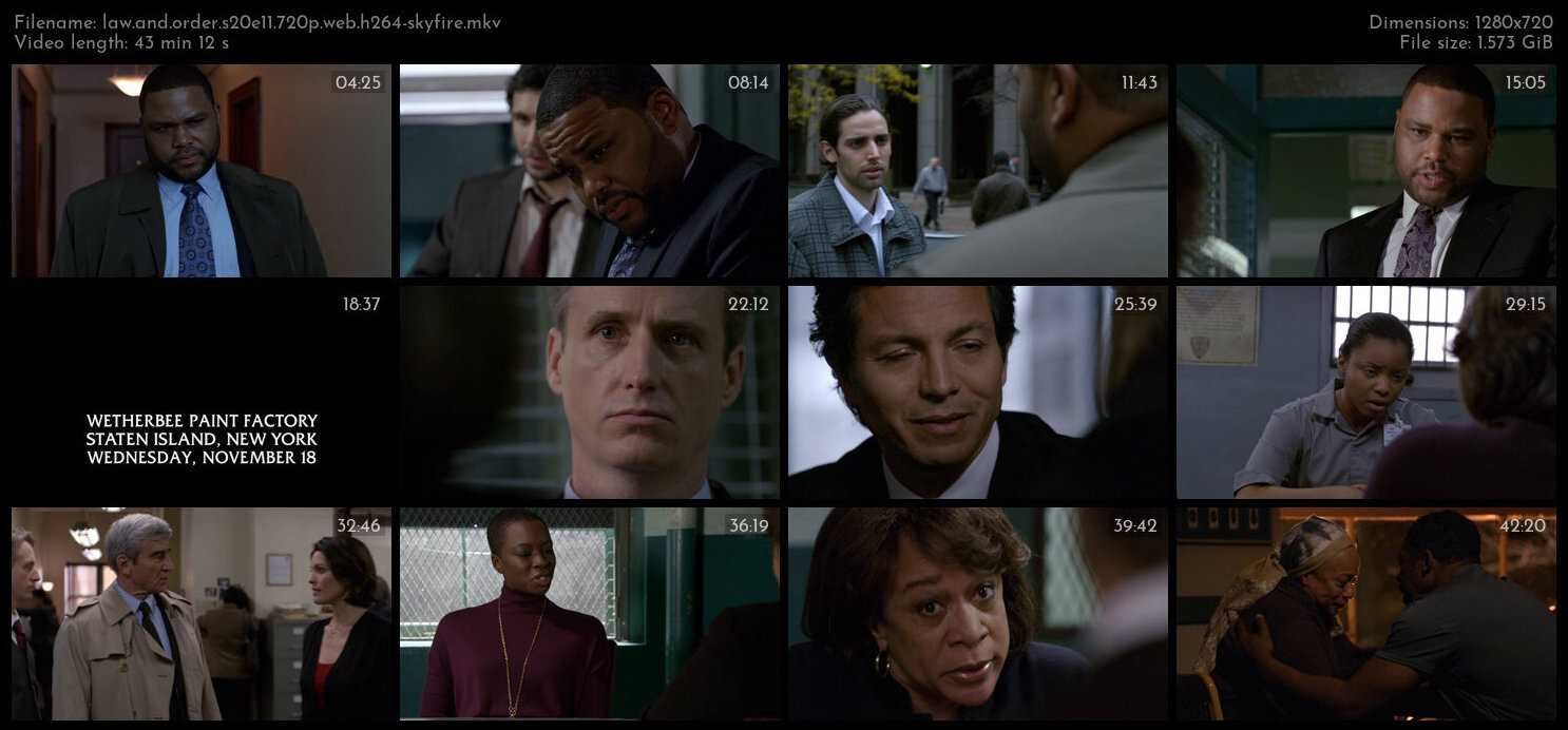 Law And Order S20E11 720p WEB H264 SKYFiRE TGx