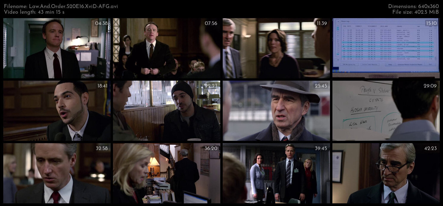 Law And Order S20E16 XviD AFG TGx