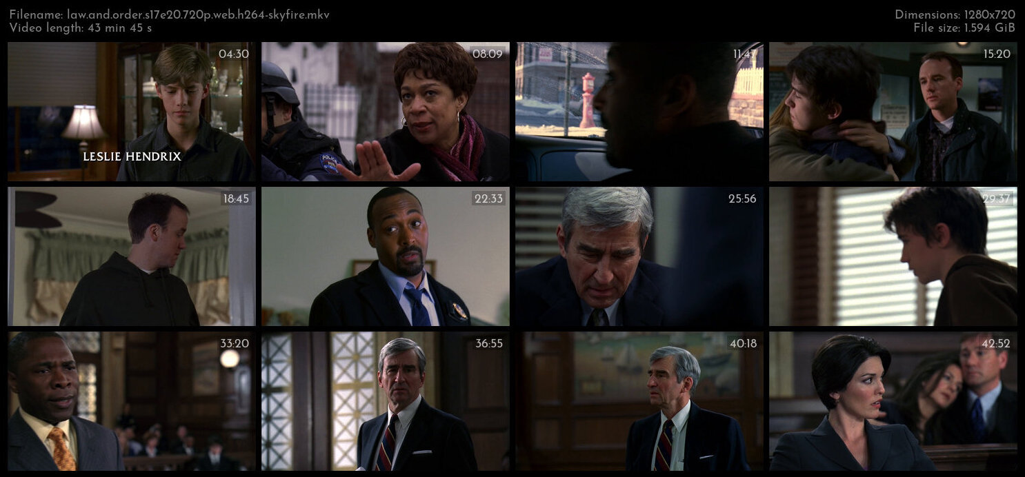 Law And Order S17E20 720p WEB H264 SKYFiRE TGx