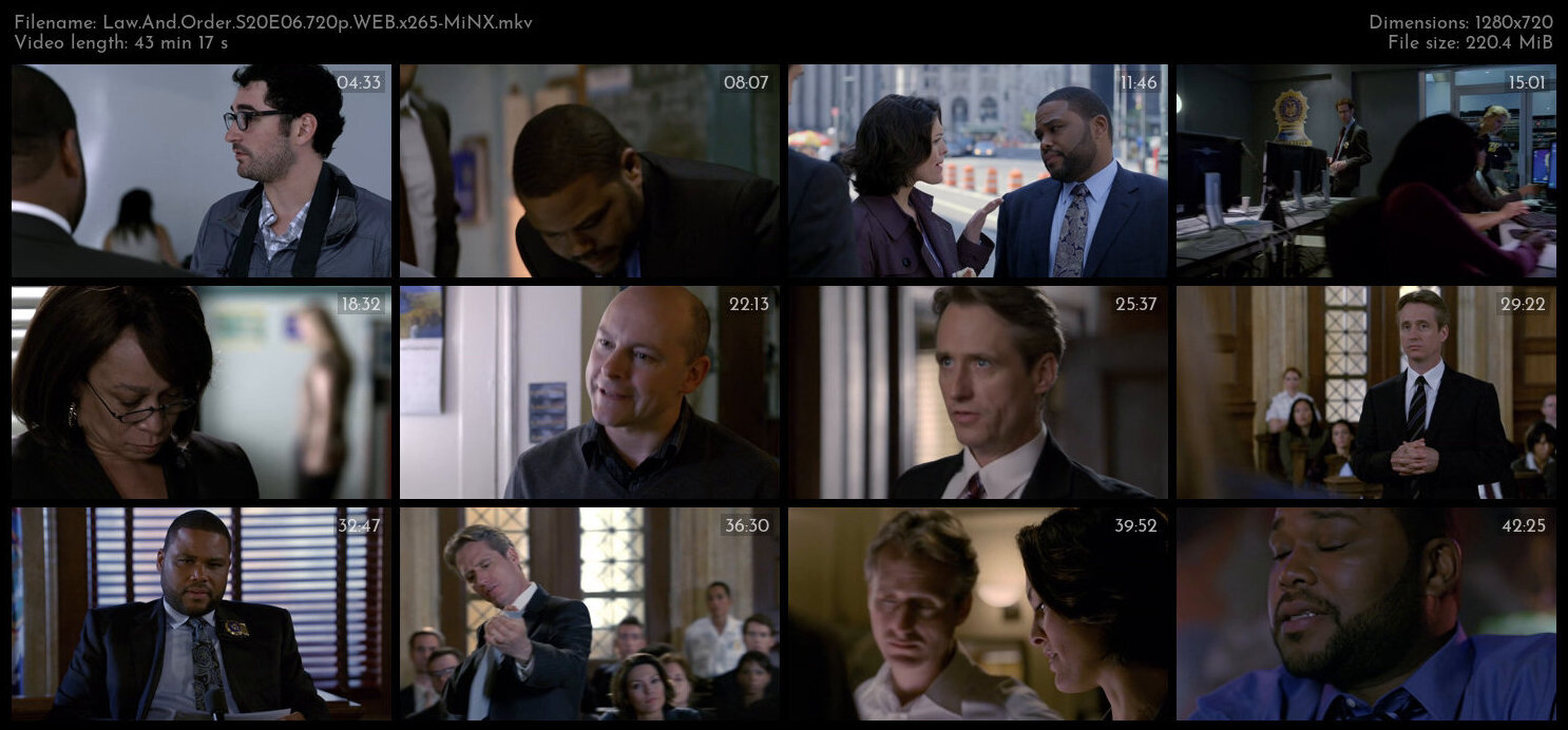 Law And Order S20E06 720p WEB x265 MiNX TGx