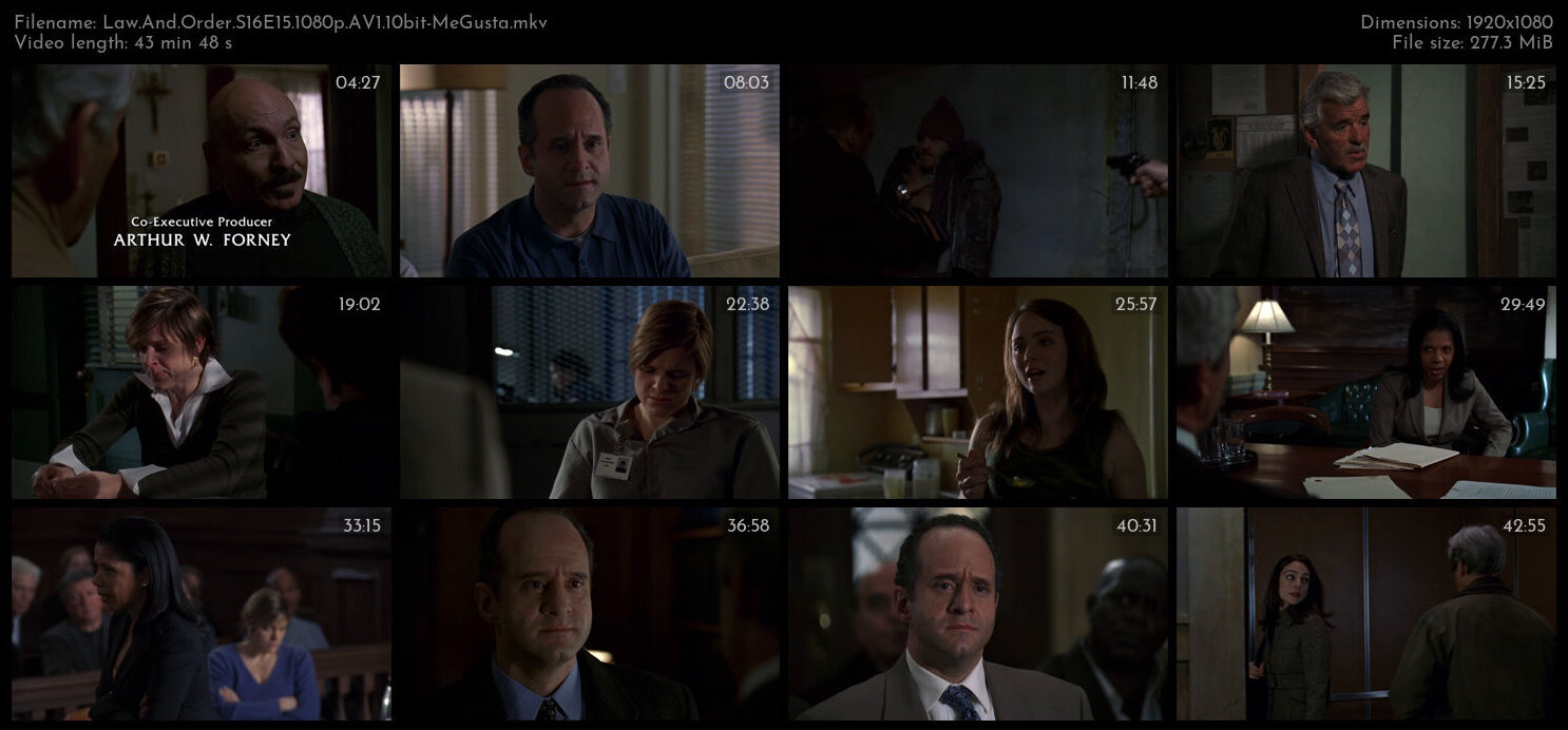 Law And Order S16E15 1080p AV1 10bit MeGusta TGx