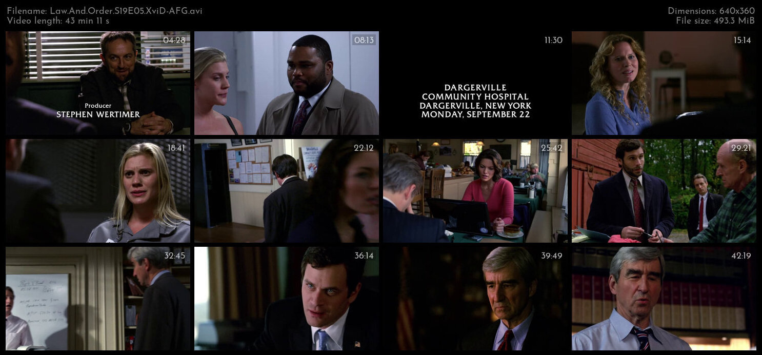 Law And Order S19E05 XviD AFG TGx