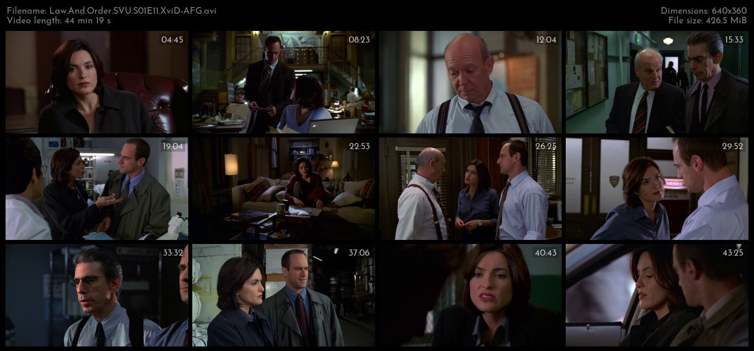 Law And Order SVU S01E11 XviD AFG TGx