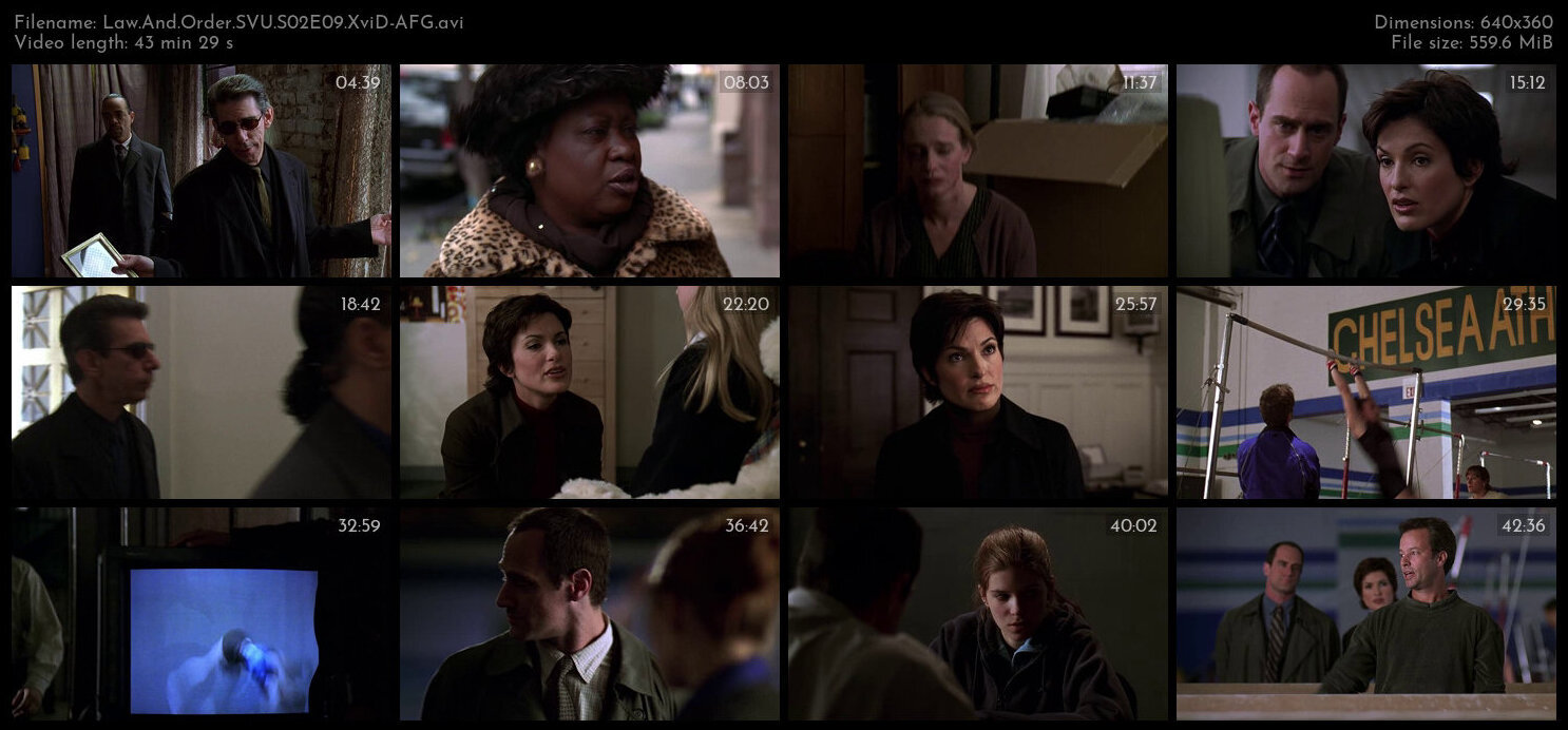 Law And Order SVU S02E09 XviD AFG TGx