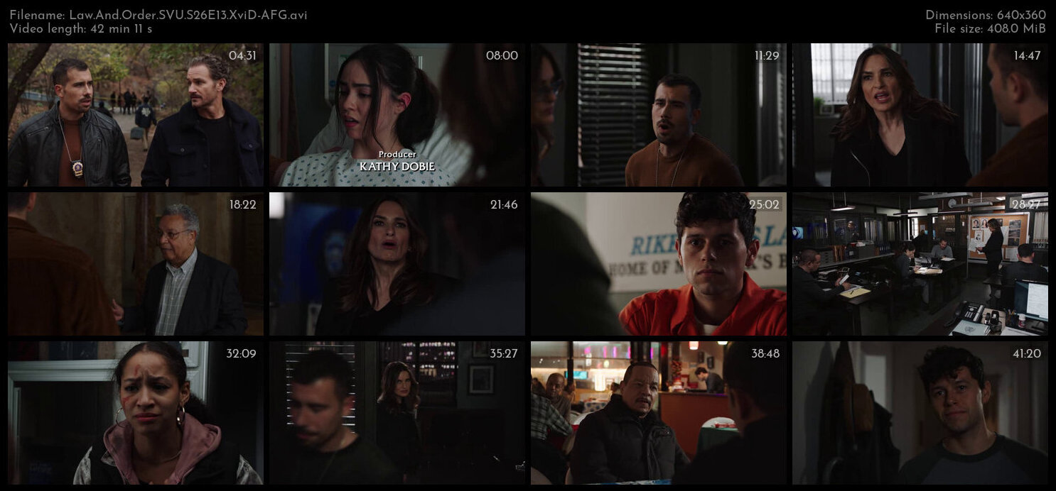 Law And Order SVU S26E13 XviD AFG TGx