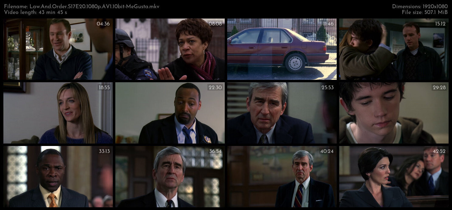 Law And Order S17E20 1080p AV1 10bit MeGusta TGx