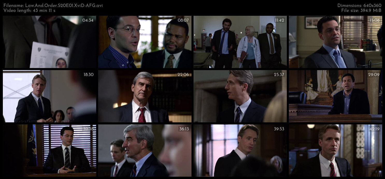 Law And Order S20E01 XviD AFG TGx